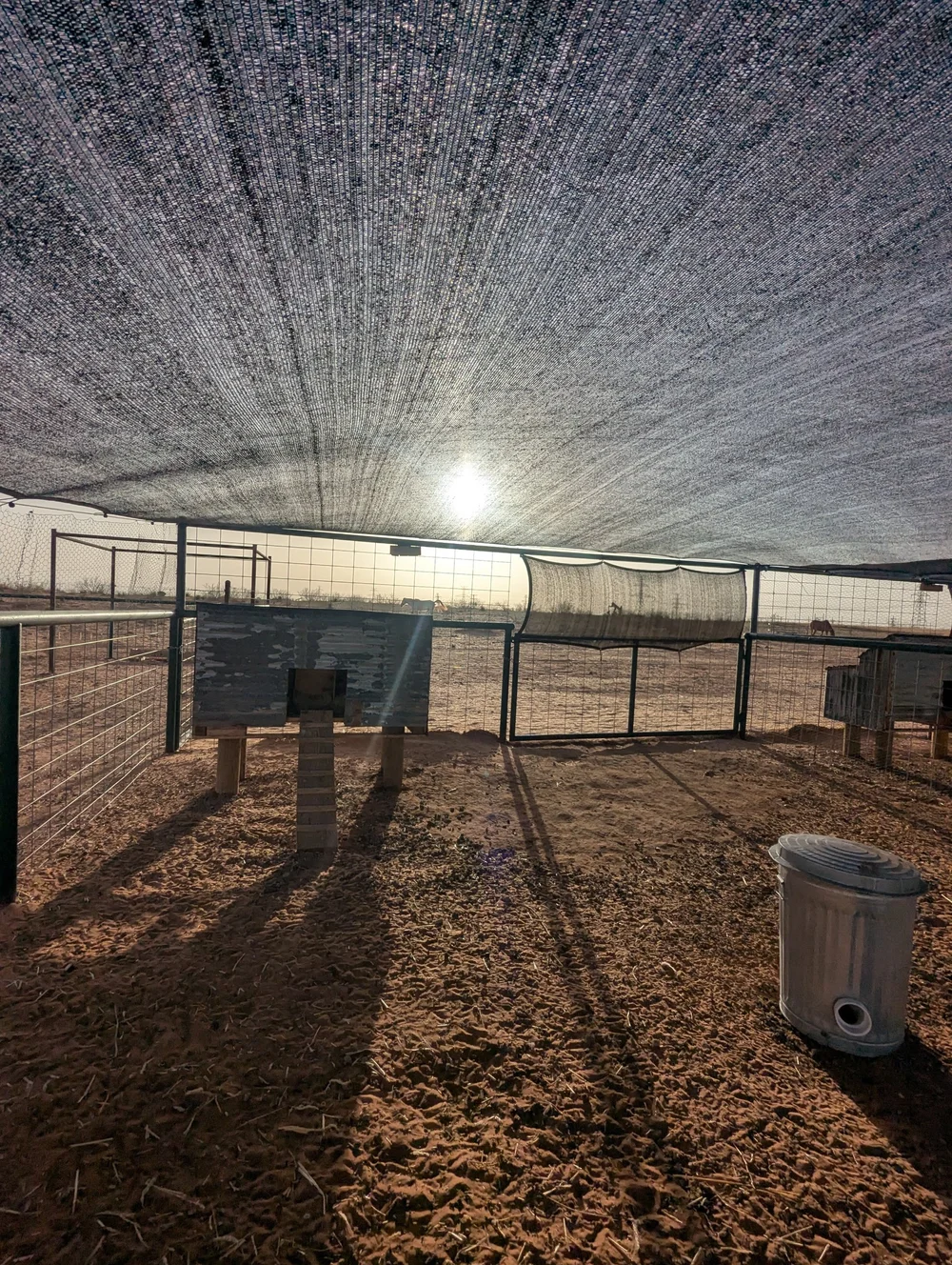 Predator Proofing Chickens