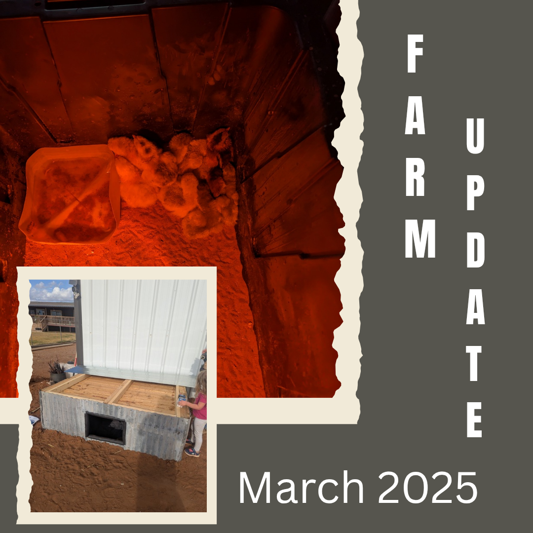 March farm update