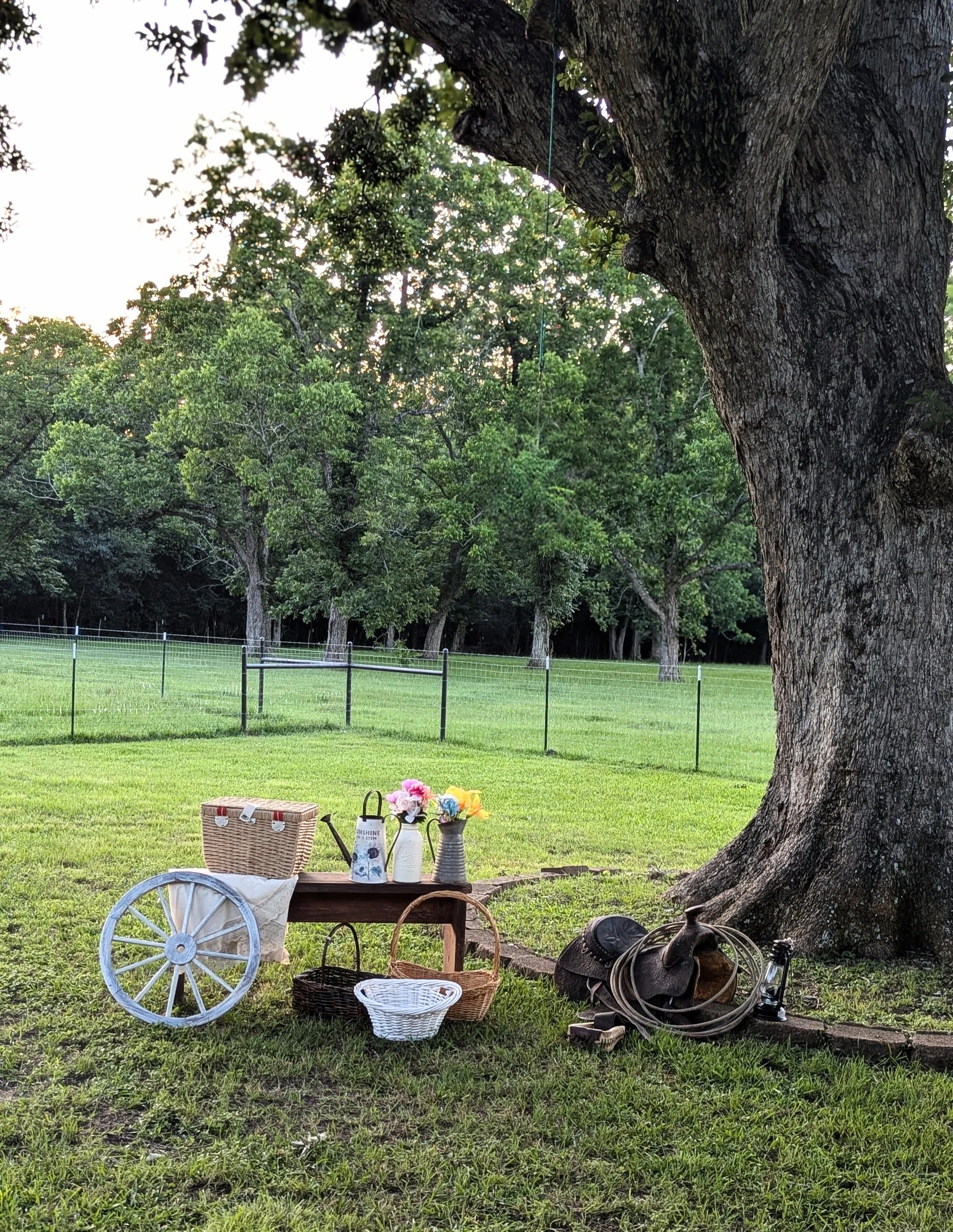 Rustic props available at Sandy Patch Ranch 1