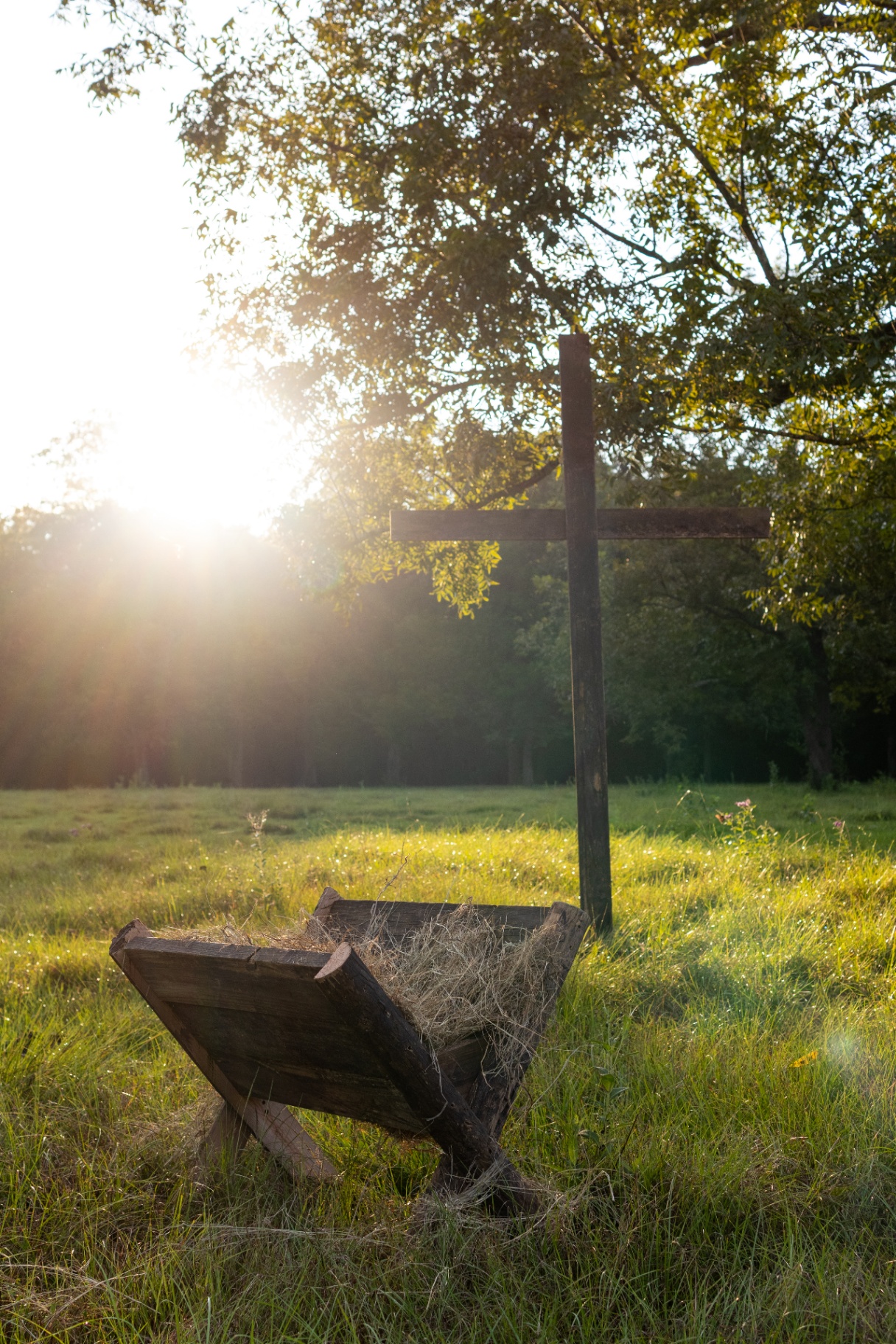 Christmas · Cross and Manger