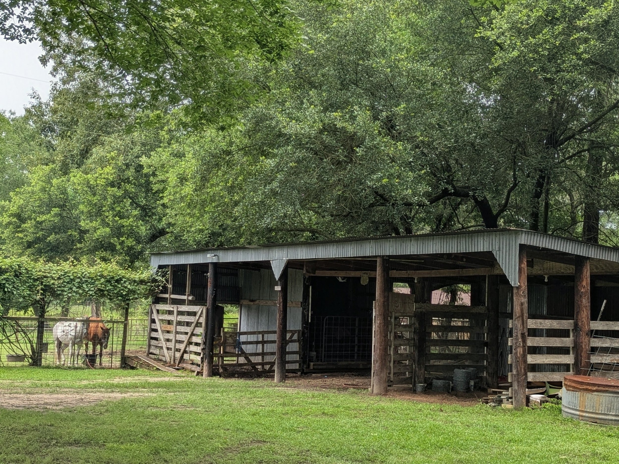 Family at Sandy Patch Ranch