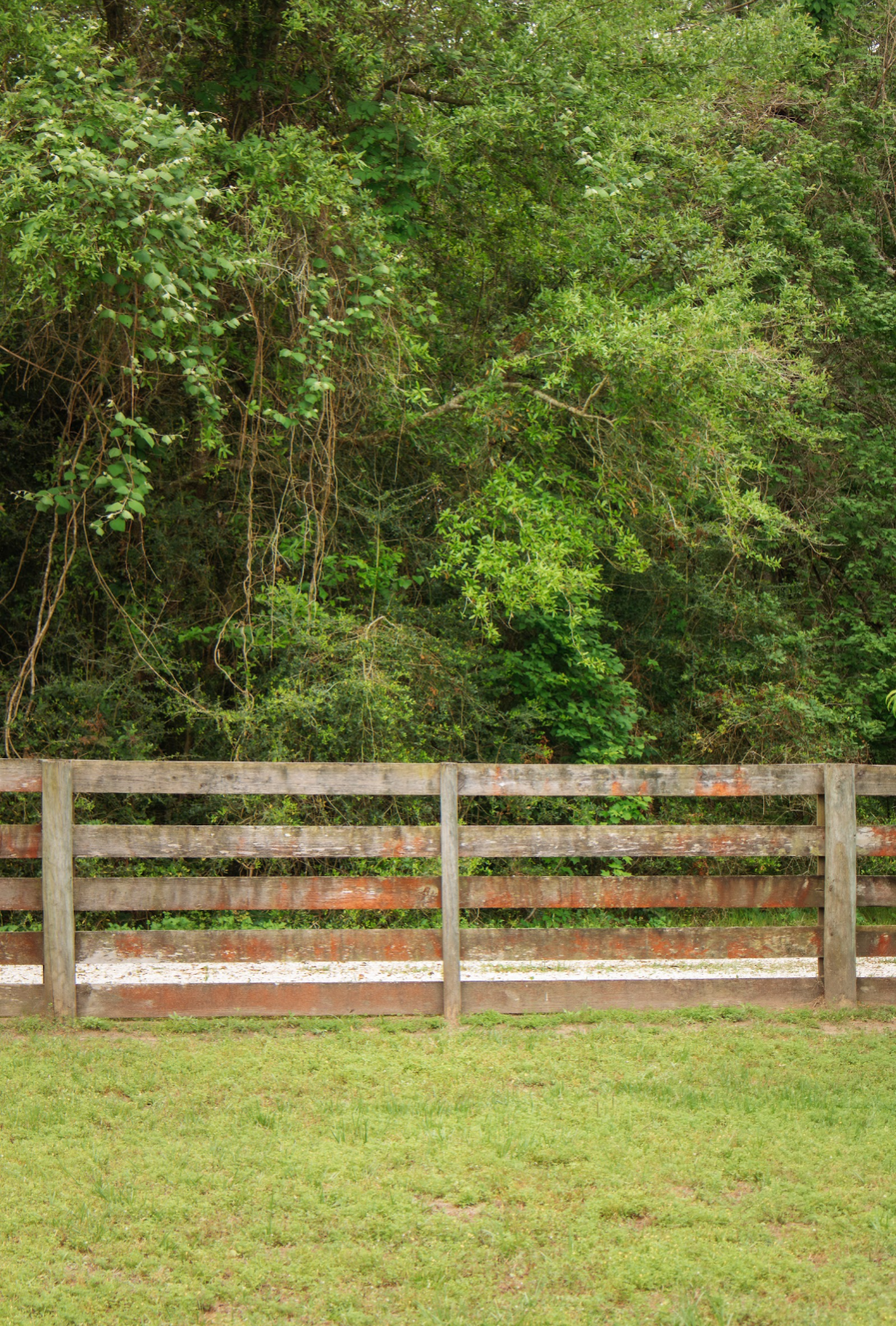 Wood fence line at Sandy Patch Ranch