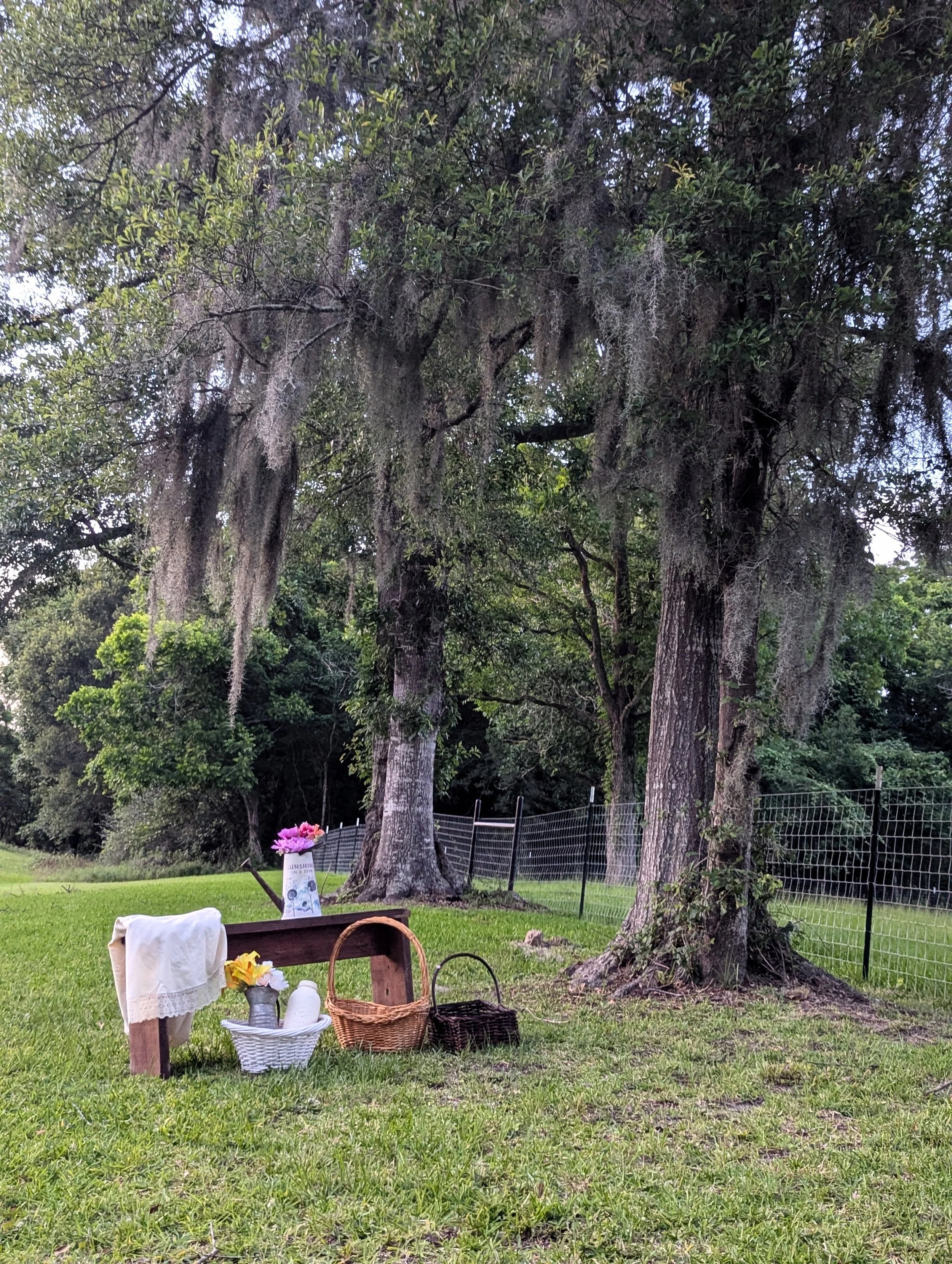 Rustic props available at Sandy Patch Ranch 3