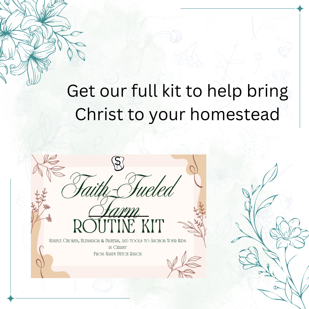 Faith Fueled Farming Routine Kit