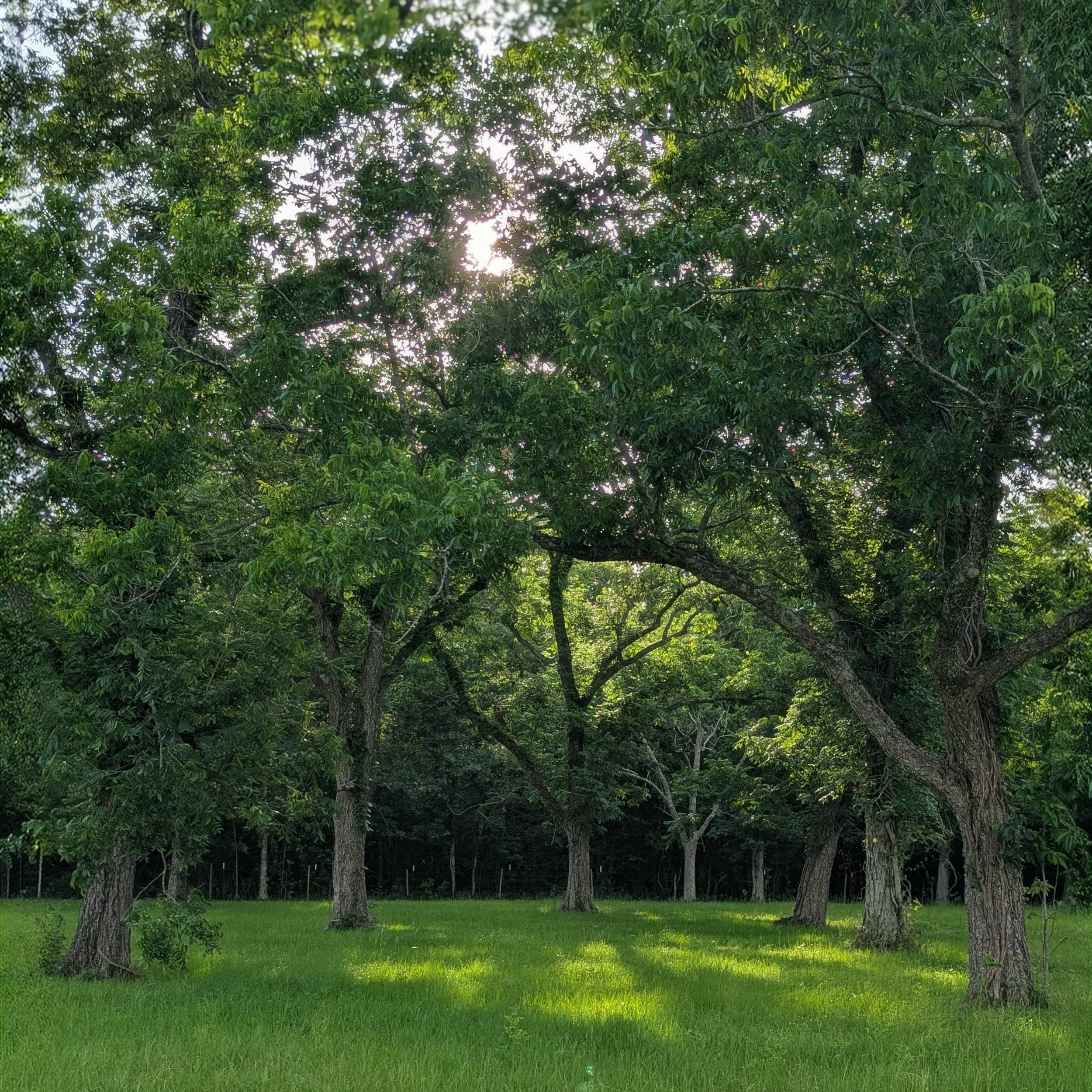 The family behind Sandy Patch Ranch