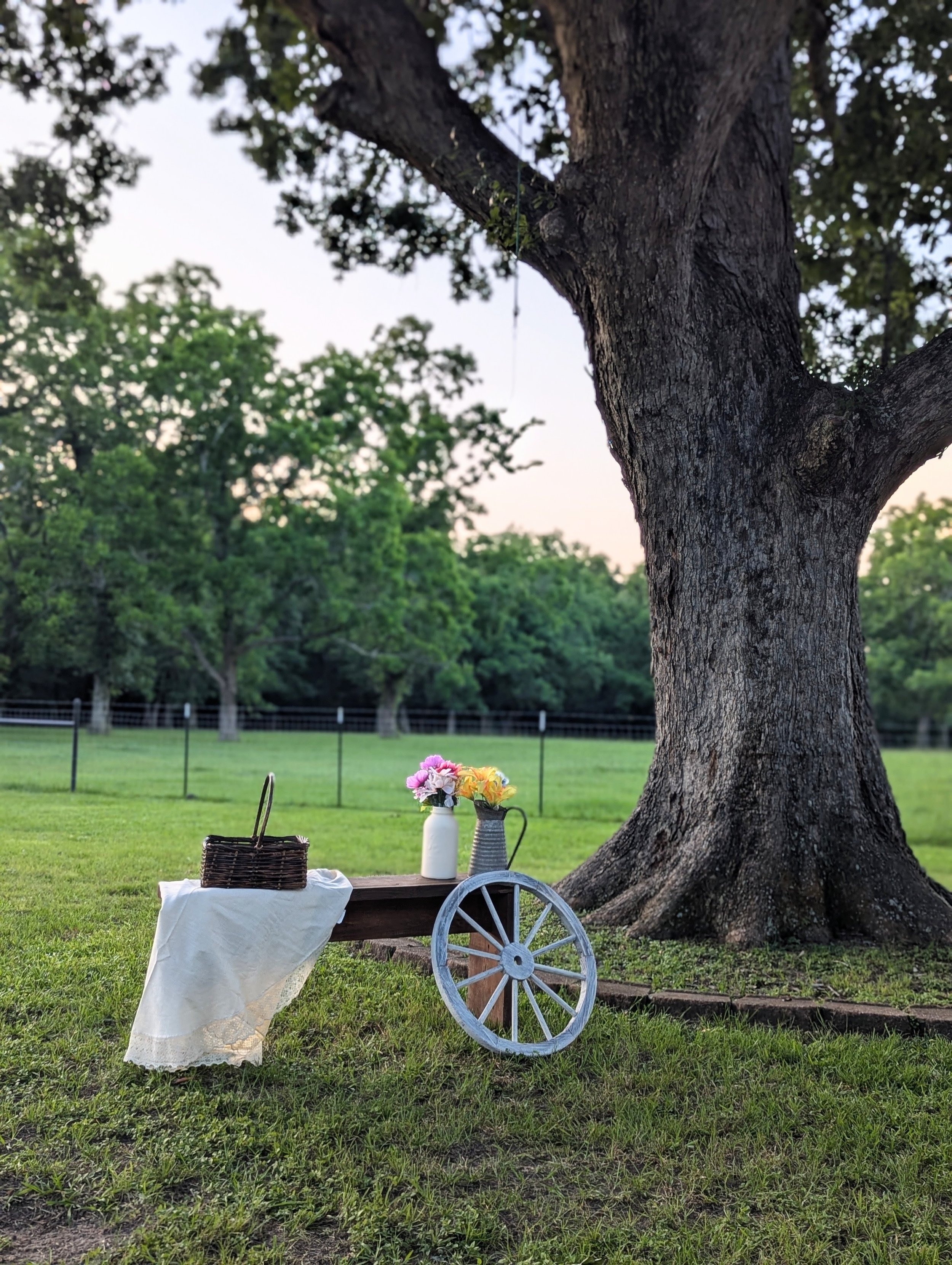 Rustic props available at Sandy Patch Ranch 5